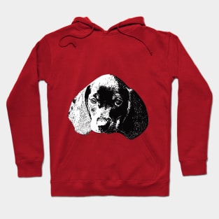 Dachshund Wiener Hoodie